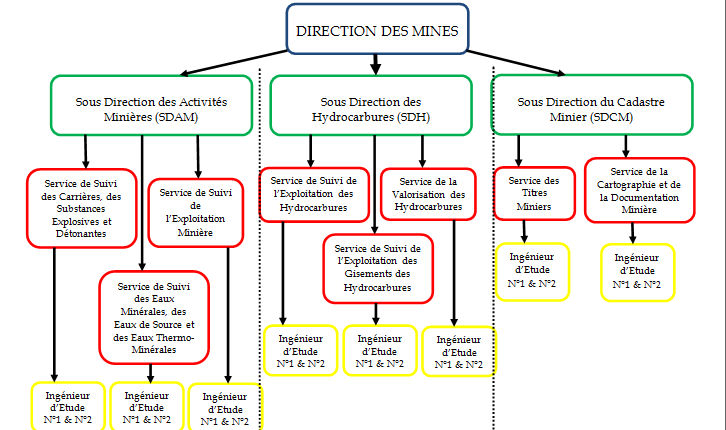 organigramme dm 2013